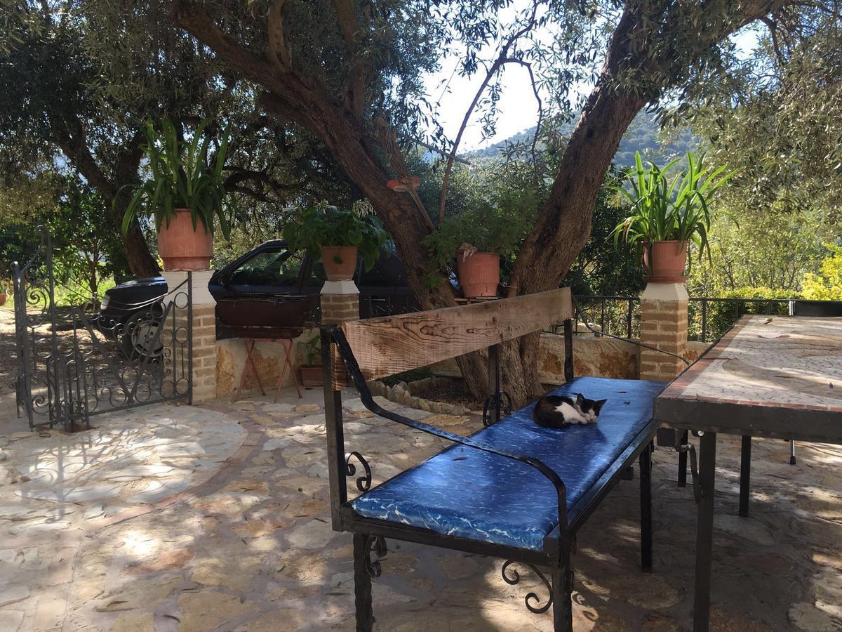 Vila Oliven Vlore Exterior photo